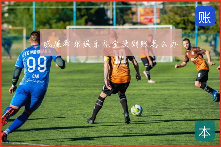 威廉希尔娱乐礼金没到账怎么办